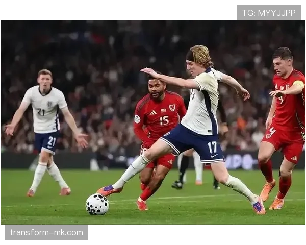 世界杯预选赛历史数据与战绩回顾