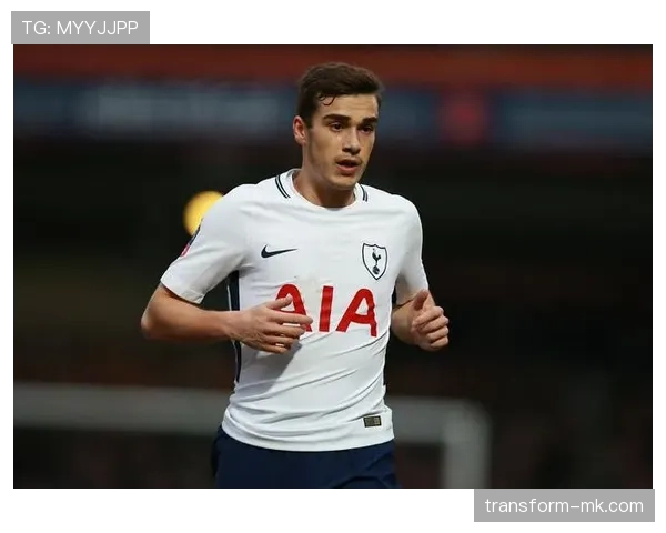 霍伊别尔战术适配性提升，中场作用关键解析